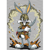 Cartoons and other-CO 2537